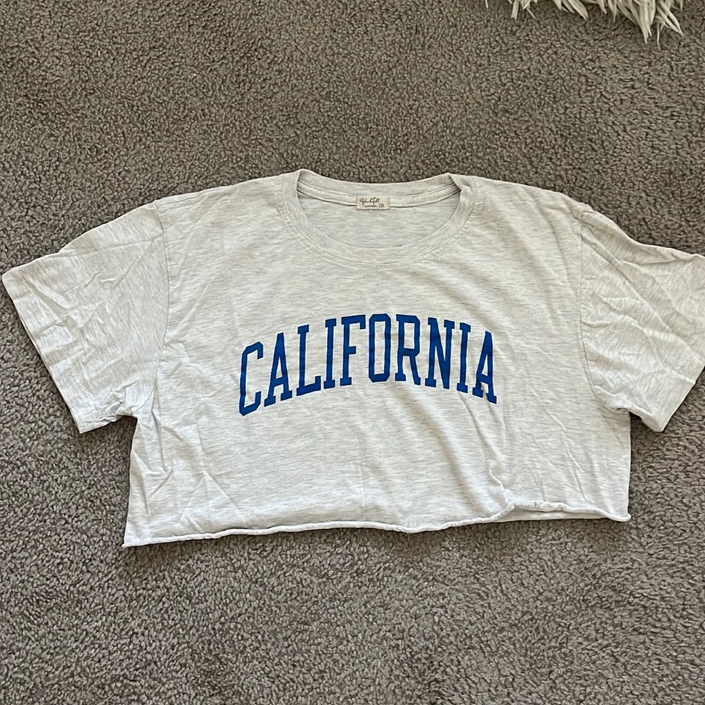 Brandy Melville Crop Top